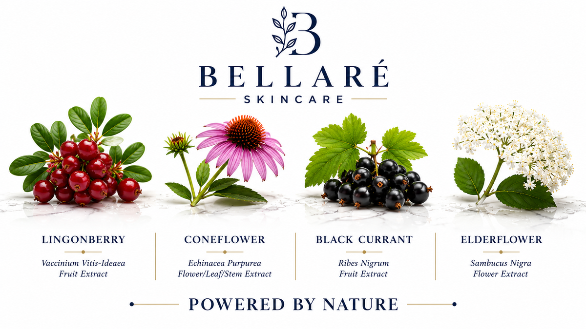 Bellaré skincare botanicals featuring lingonberry, coneflower, black currant and elderflower