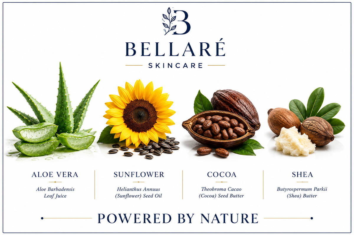 Bellaré Rejuvenating Night Cream botanicals featuring aloe vera, sunflower, cocoa and shea