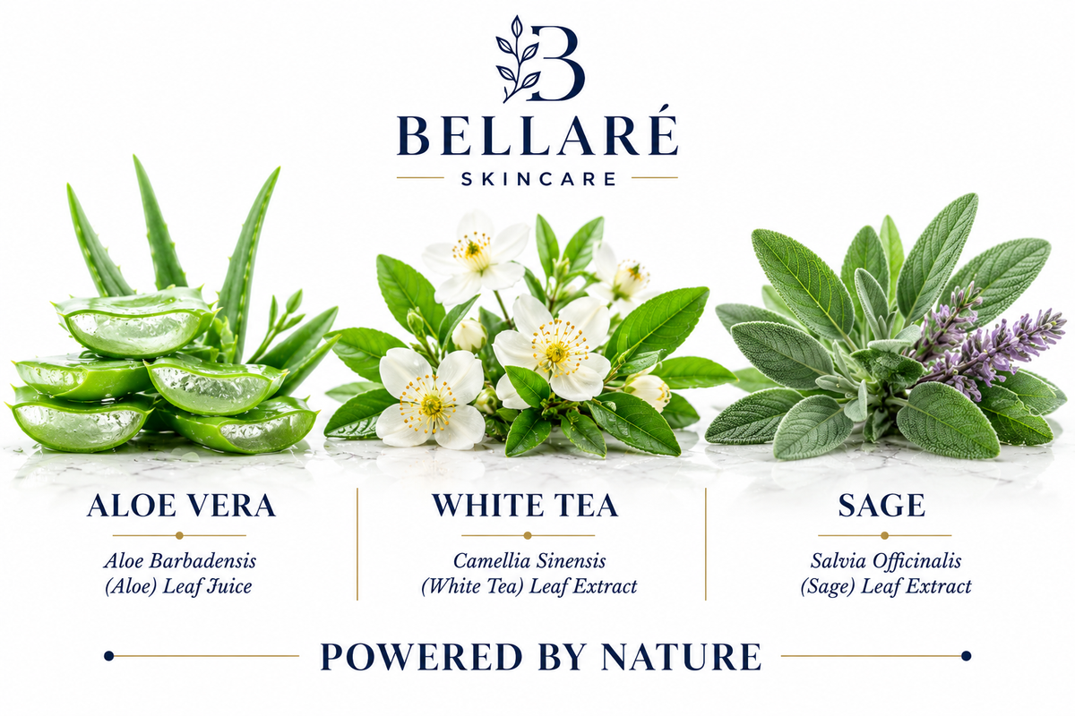 Bellaré Hydration Booster Gel botanicals featuring aloe vera, white tea and sage