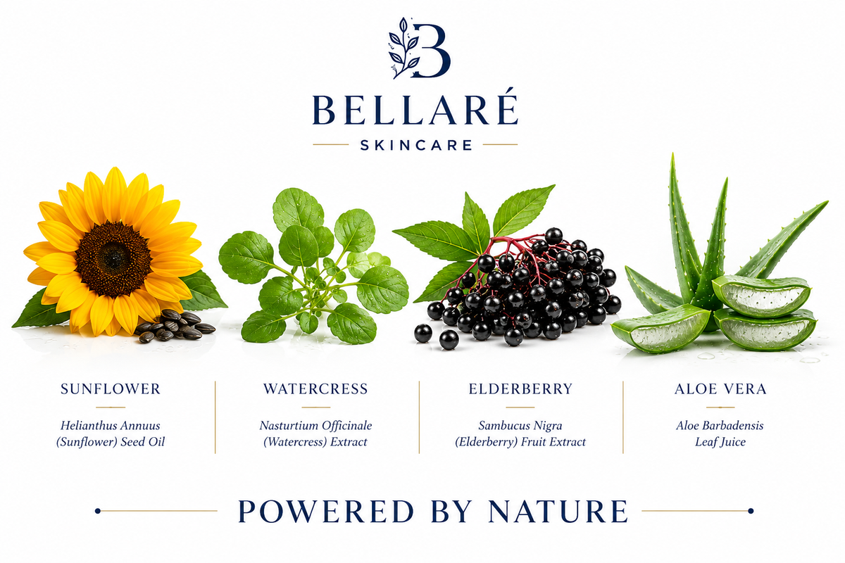 Bellaré Collagen Restoring Serum botanicals featuring sunflower, watercress, elderberry and aloe vera