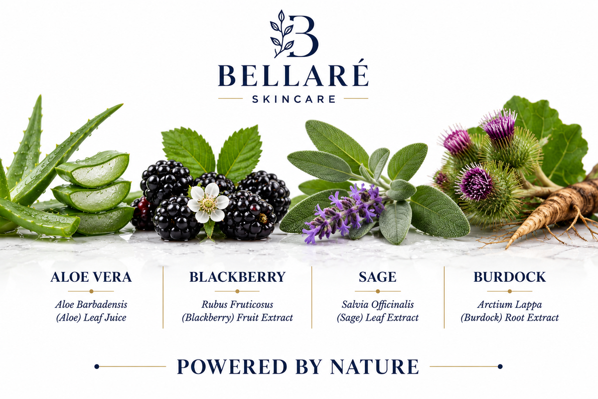 Bellaré Purifying Cleansing Mousse botanicals featuring aloe vera, blackberry, sage and burdock
