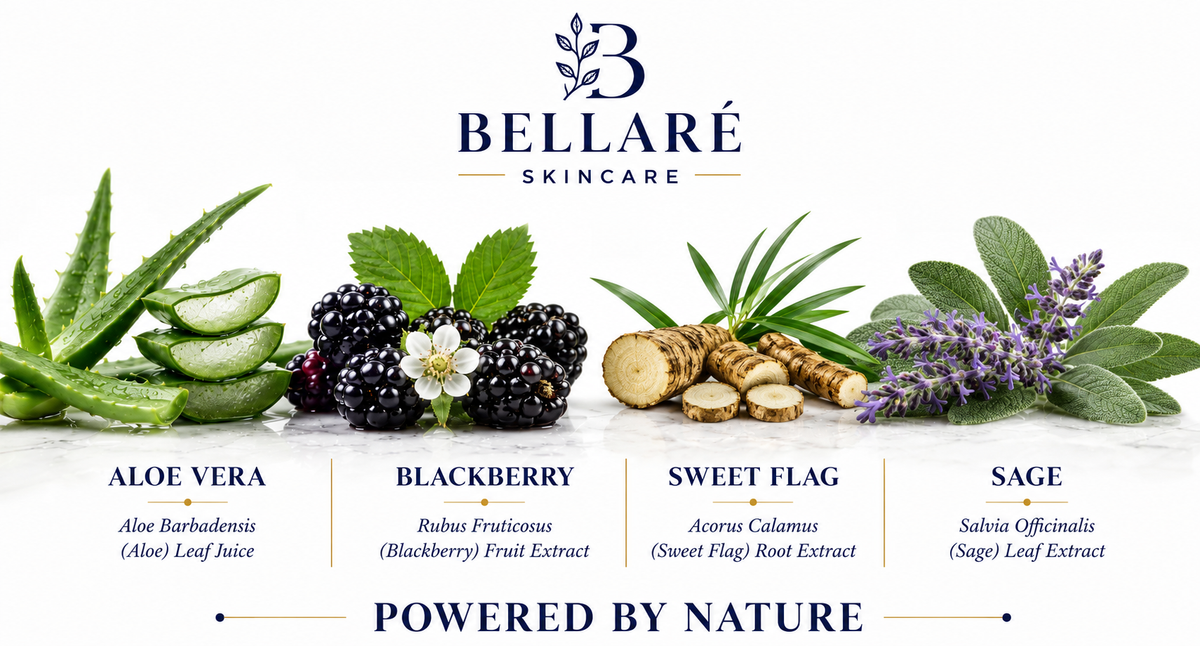 Bellaré Radiant Glow Cleanser botanicals featuring aloe vera, blackberry, sweet flag and sage